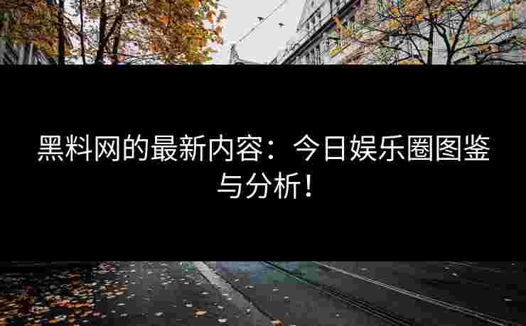 黑料网的最新内容：今日娱乐圈图鉴与分析！