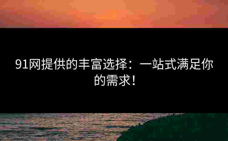91网提供的丰富选择：一站式满足你的需求！